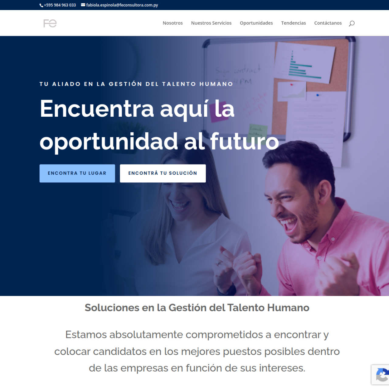 FE Consultora