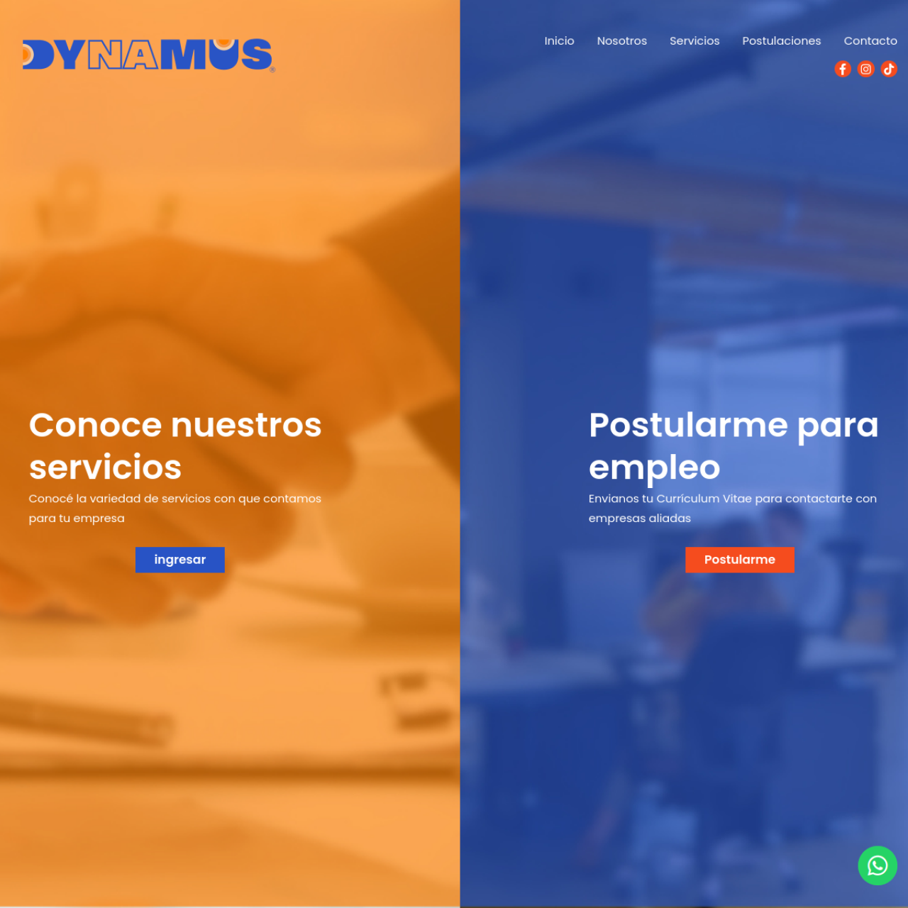 Dynamus MKT S.A.