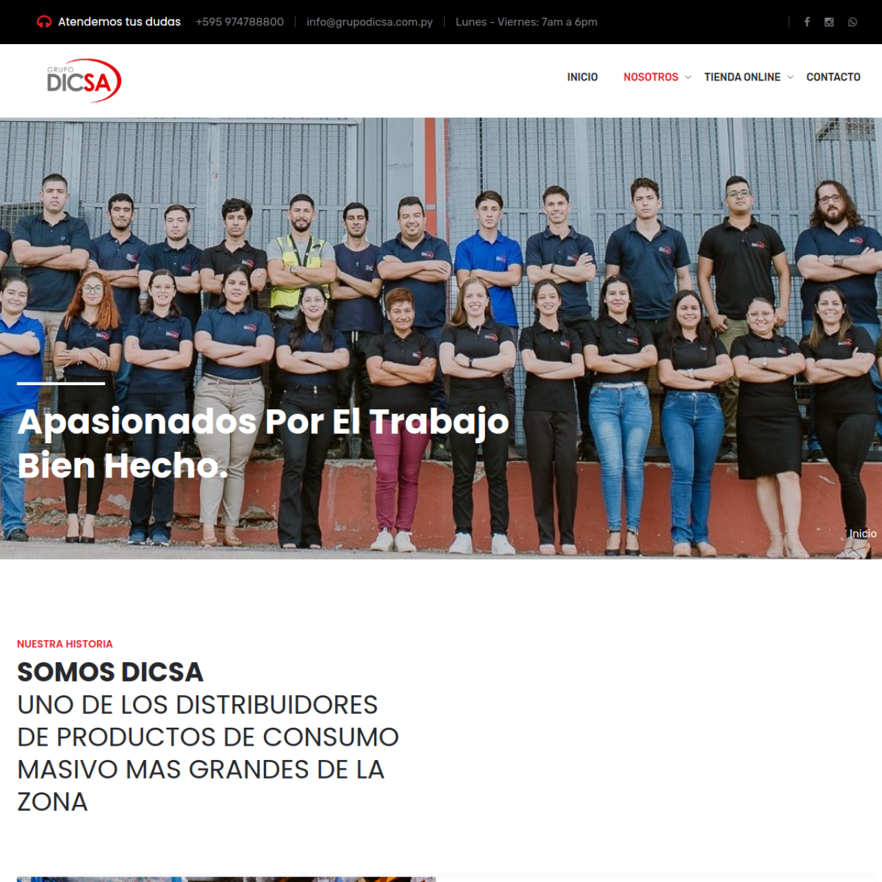 GRUPO DICSA